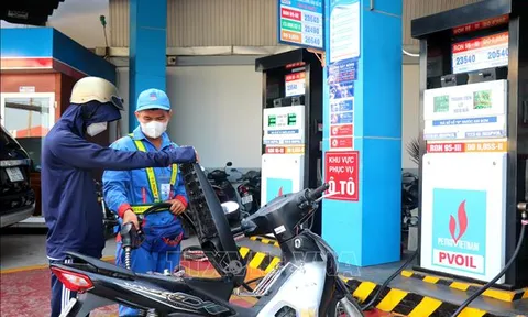 Thủ tướng biểu dương Bộ Tài chính, cơ quan thuế thực hiện thành công phát hành hóa đơn điện tử xăng dầu