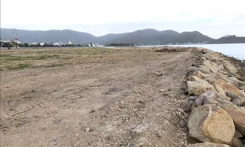 Rà soát nội dung dự thảo Nghị định về hoạt động lấn biển