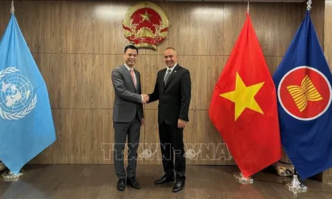 Việt Nam, Cuba hợp tác chặt chẽ trong các tiến trình quan trọng của LHQ
