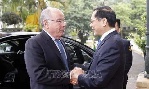 Củng cố, thúc đẩy quan hệ Đối tác toàn điện Việt Nam - Brazil
