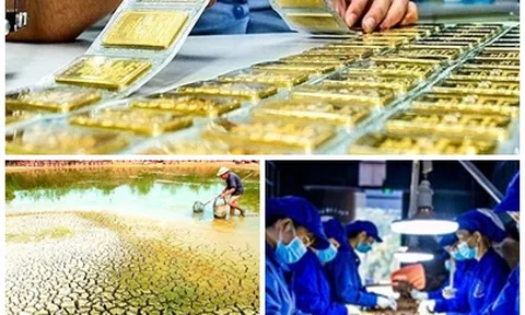 Chỉ đạo, điều hành của Chính phủ, Thủ tướng Chính phủ nổi bật tuần từ 8-12/4/2024