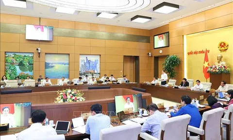 Đảm bảo hiệu quả đầu tư trong Chương trình mục tiêu quốc gia phát triển vùng đồng bào dân tộc thiểu số
