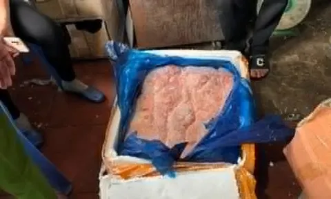 Hà Nội: Phát hiện trên 1 tấn thực phẩm không rõ xuất xứ