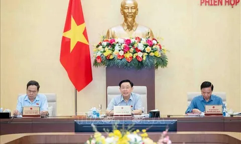 Năm 2025, giám sát về bảo vệ môi trường và sử dụng nguồn nhân lực