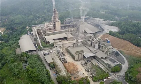 Thủ tướng chỉ đạo khắc phục hậu quả vụ tai nạn lao động đặc biệt nghiêm trọng tại Yên Bái