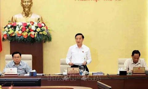 Tiếp tục làm tốt hơn nữa công tác giám sát văn bản quy phạm pháp luật