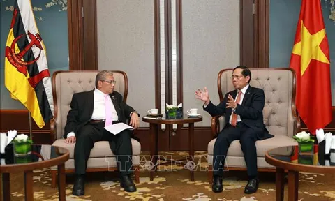 Việt Nam - Brunei hợp tác chắt chẽ trong triển khai thỏa thuận giữa hai nước