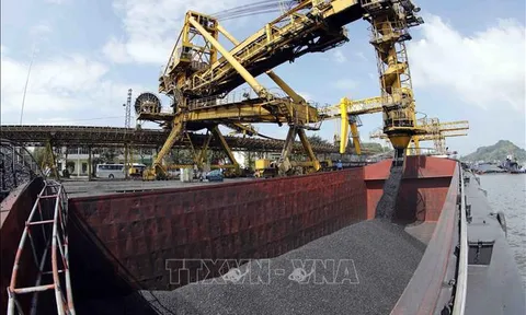 Kế hoạch thực hiện Quy hoạch khai thác, chế biến, sử dụng khoáng sản