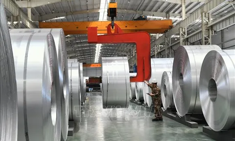 Rà soát tình hình gia tăng nhập khẩu thép cán nóng