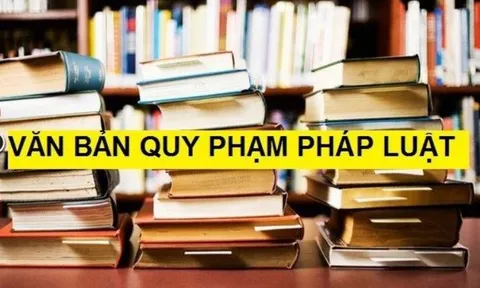 Đề xuất bãi bỏ toàn bộ 13 Nghị định của Chính phủ