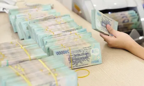 Chứng chỉ tiền gửi được phát hành và thanh toán bằng đồng Việt Nam