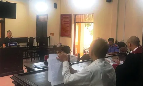 Chủ nhà hàng lĩnh án vì mua bình rượu có ngâm rắn hổ mang chúa về trưng bày
