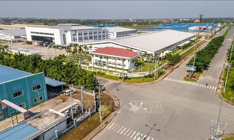 Chuyển mục đích sử dụng đất để thực hiện Dự án Cụm công nghiệp Tân Phú