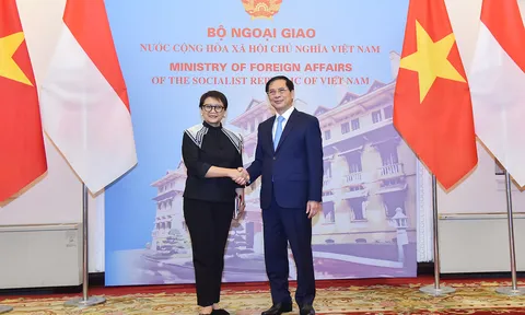 Bộ trưởng Bộ ngoại giao đồng chủ trì kỳ họp lần thứ năm Ủy ban hợp tác song phương Việt Nam - Indonesia