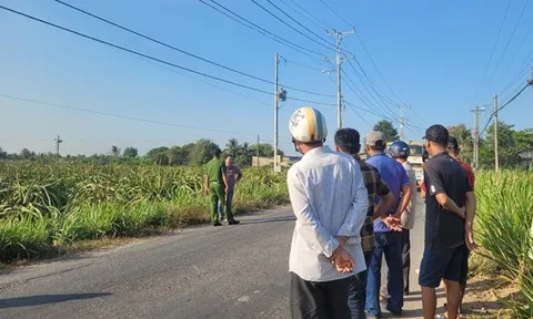 Long An: Phát hiện thi thể nam thanh niên trong vườn thanh long