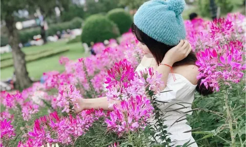 Đến sau... người yêu cũ, ta hãy chấp nhận vị trí của mình?