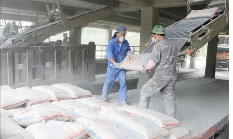 Bộ Y tế đề xuất danh sách 35 bệnh nghề nghiệp được hưởng bảo hiểm xã hội