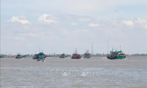 Tập trung thực hiện Chiến lược phát triển bền vững kinh tế biển Việt Nam