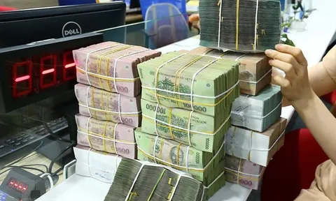 Đề xuất quy định điều kiện cấp giấy phép đối với quỹ tín dụng nhân dân, tổ chức tài chính vi mô