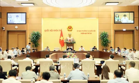 Hoàn thiện pháp luật để ngăn chặn việc sử dụng trái phép các loại dao có tính sát thương cao