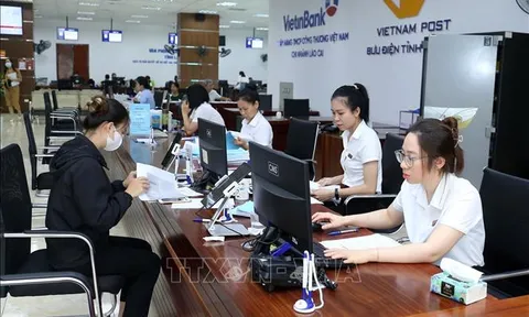 100% hồ sơ được tiếp nhận, giải quyết trên Hệ thống thông tin giải quyết thủ tục hành chính