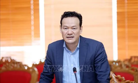Việt Nam mong muốn đóng góp nhiều hơn vào thúc đẩy hòa bình, phát triển