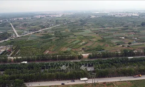 Xử lý dứt điểm tình trạng tranh chấp đất đai tại các công ty nông, lâm nghiệp