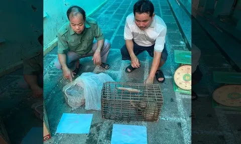 Bắt tạm giam 2 đối tượng mua bán trái phép động vật quý hiếm