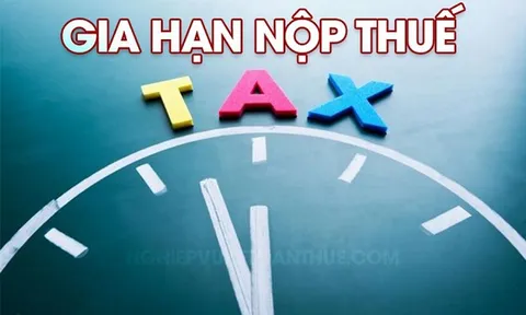 Đề nghị gia hạn thời hạn nộp thuế năm 2024