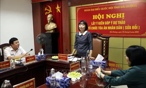 Lấy ý kiến góp ý Dự thảo Luật Tổ chức Tòa án nhân dân (sửa đổi)