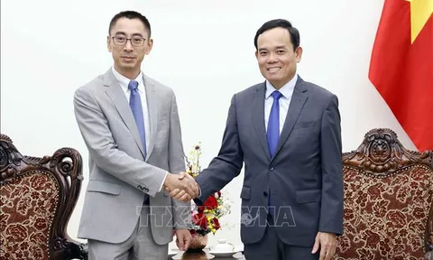Phó Thủ tướng Trần Lưu Quang tiếp Phó Chủ tịch Tập đoàn Huawei