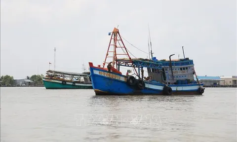 Tập trung xử lý vi phạm về Hệ thống giám sát hành trình tàu cá