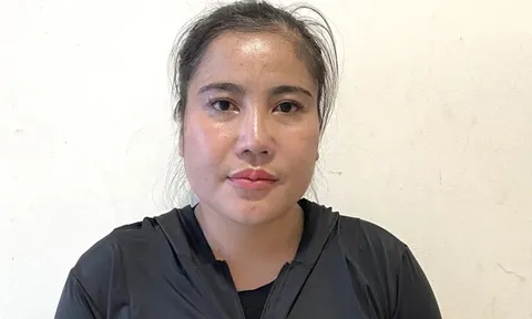 Bắt tạm giam nữ giám đốc lừa xuất khẩu lao động, chiếm đoạt hơn 20 tỷ đồng