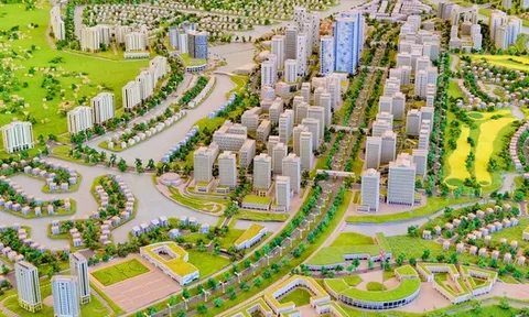Hướng dẫn xác định, quản lý chi phí quy hoạch chi tiết theo quy trình rút gọn