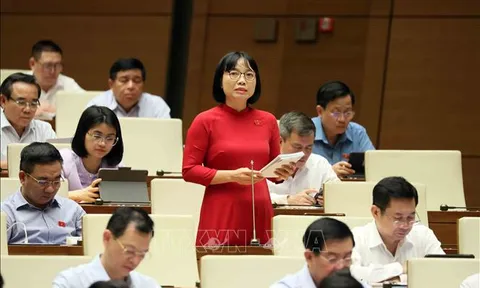 Thực hiện quyết liệt các biện pháp ngăn chặn tình trạng lừa đảo trực tuyến
