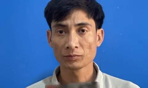 Khởi tố đối tượng lừa đảo cấp đổi giấy phép lái xe qua mạng, chiếm đoạt hơn 300 triệu đồng