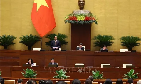 Thông cáo báo chí số 11, Kỳ họp thứ 7, Quốc hội khóa XV
