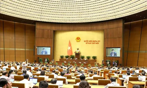 Đề xuất 2 nhóm cơ chế, chính sách đặc thù phát triển thành phố Đà Nẵng