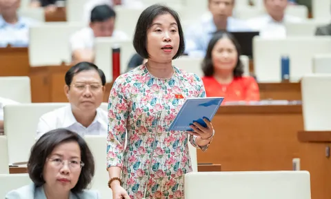 Cam kết chống hàng giả trong thương mại điện tử có hiệu quả?