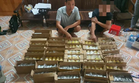 Bắt đối tượng vận chuyển trái phép hơn 1 tấn đạn chì và nhiều vũ khí, vật liệu nổ