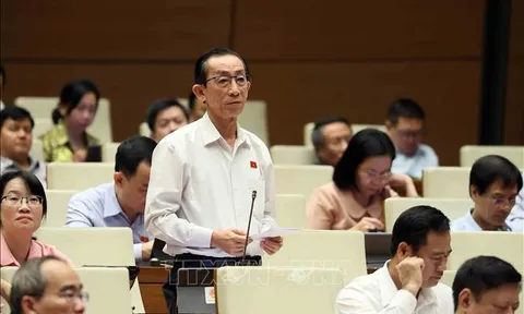Sẽ giám sát tối cao việc thực hiện chính sách, pháp luật về bảo vệ môi trường