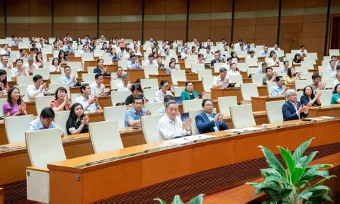 Quốc hội quyết định sẽ giám sát tối cao việc thực hiện chính sách, pháp luật về bảo vệ môi trường