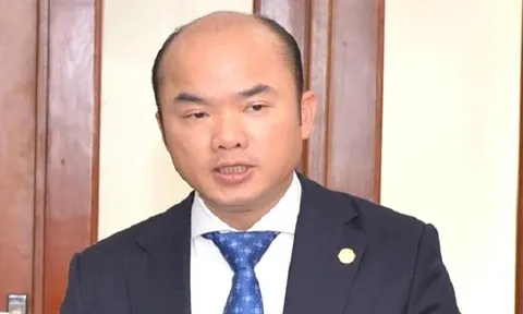 Khởi tố, bắt tạm giam Tổng Giám đốc VEAM Phan Phạm Hà