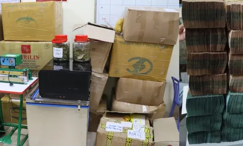 Triệt phá đường mua bán trái phép cần sa qua mạng, thu giữ 7,5 tỷ đồng
