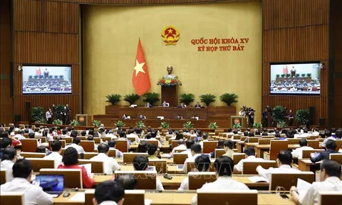 Tuần làm việc thứ 4, Kỳ họp thứ 7, Quốc hội khóa XV: Tập trung cho công tác lập pháp