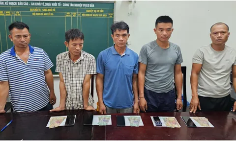 Bắt nhóm đối tượng đánh bạc bằng hình thức chọi trâu ở Nghệ An