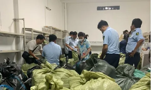Thu giữ 10 tấn hàng phục vụ livestream được ngụy trang bên trong quán tạp hóa