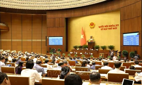 Thông cáo báo chí số 24, Kỳ họp thứ 7, Quốc hội khóa XV