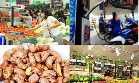 Thủ tướng chỉ đạo tăng cường các biện pháp quản lý, điều hành giá