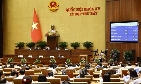 Kỳ họp thứ 7, Quốc hội khoá XV: Lập đoàn giám sát về bảo vệ môi trường